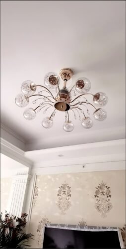 Gorgeous Starry Bud Balls Lamp with Fan photo review