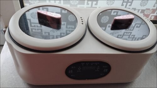 2 in 1 Automatic Multi-function Double Gallbladder Cooker Double-liner Rice Soup Vege Cooker photo review