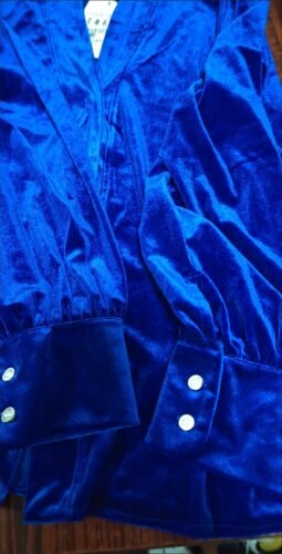 Elegant Royal Blue V-neckline Velvet Blouse photo review