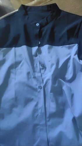 Stylish Color-block Short-sleeved Collared Blouse photo review